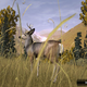 Illustration for article titled First Look: Deer Hunter Tournament